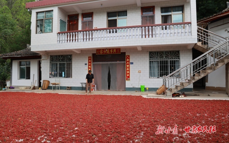 微信圖片_20250712170414