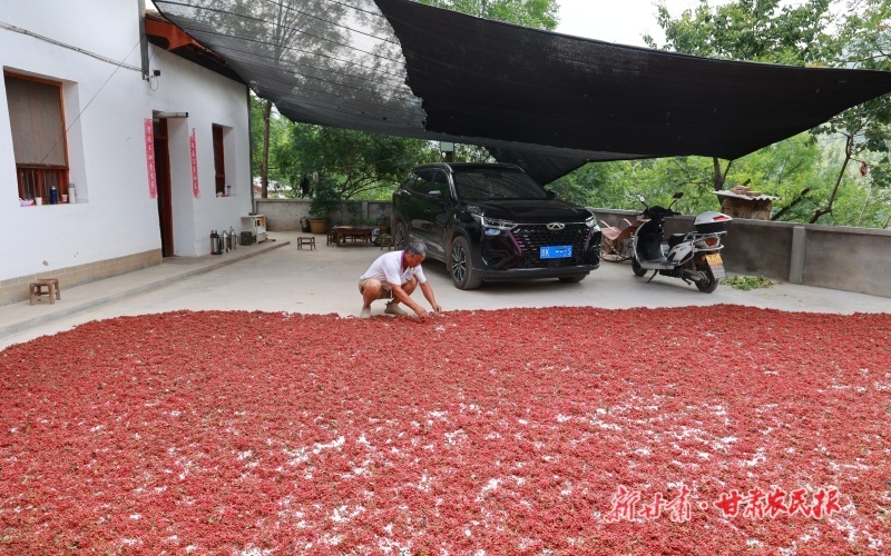 微信圖片_20250712205114