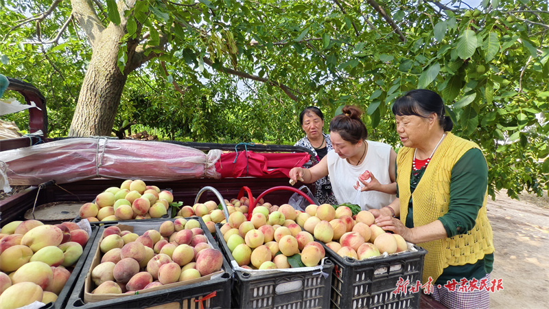 1ef30c508e77eb60d70f08c4561a769