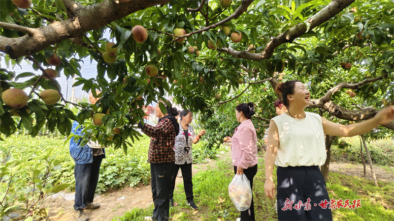 2ee848b0d282b60245e5320bebfd4e2