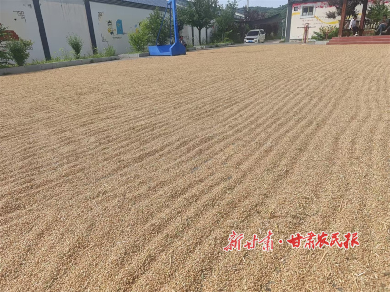 1752748391955555.jpg GetAttachm.jpg