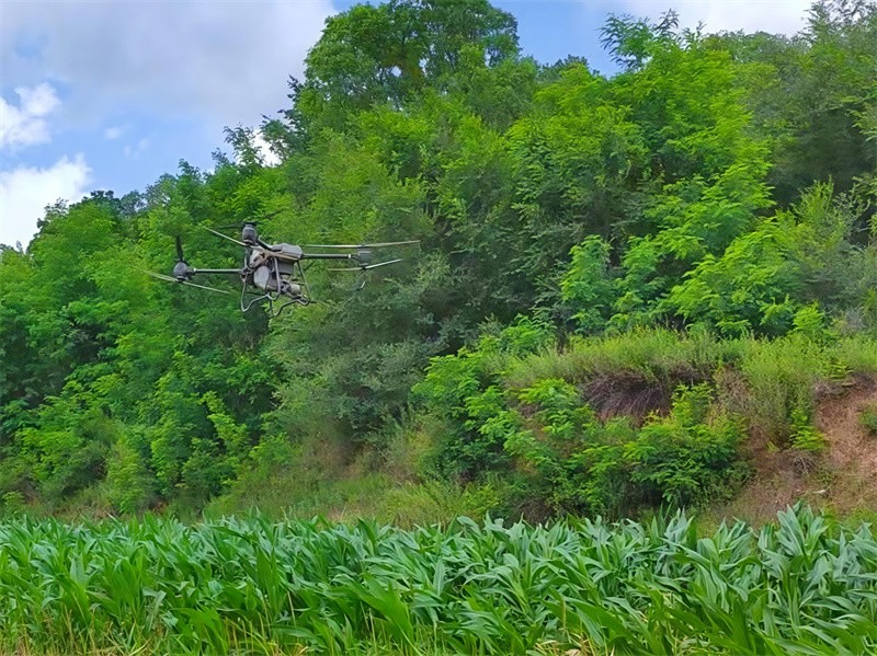 1752748527991943.jpg 無(wú)人機(jī)噴灑農(nóng)藥1.jpg