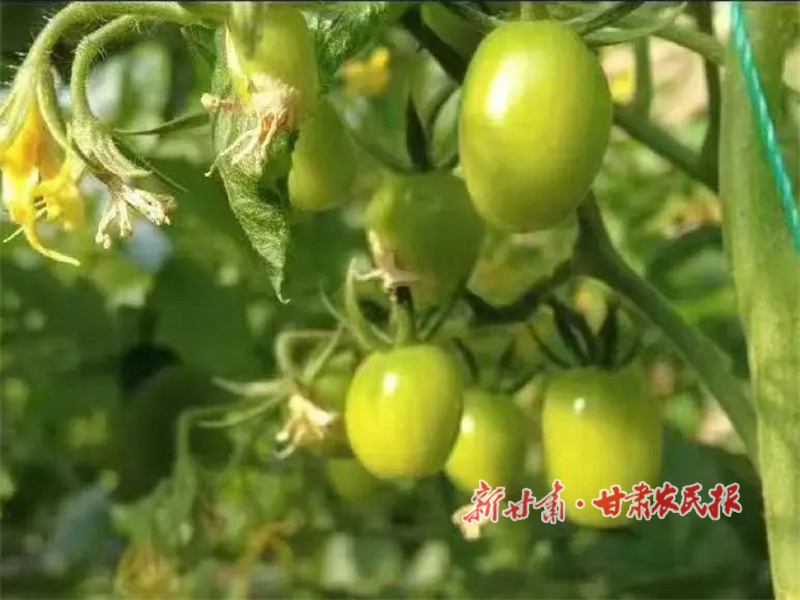 1752748623153460.jpg 03256.jpg