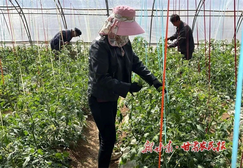 1752748643856795.jpg 3303.jpg