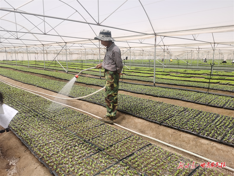 微信圖片_20250716190216