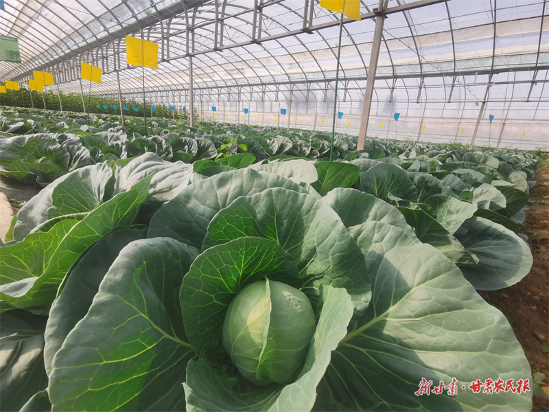 微信圖片_20250716185016