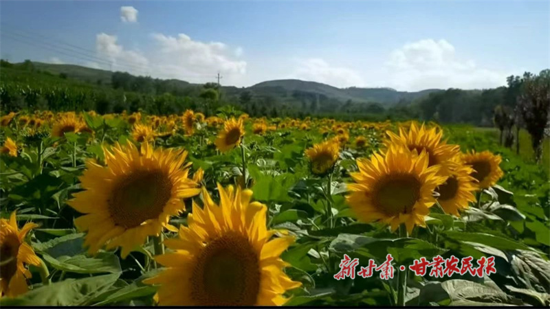 1753083319452884.jpg 094548.jpg