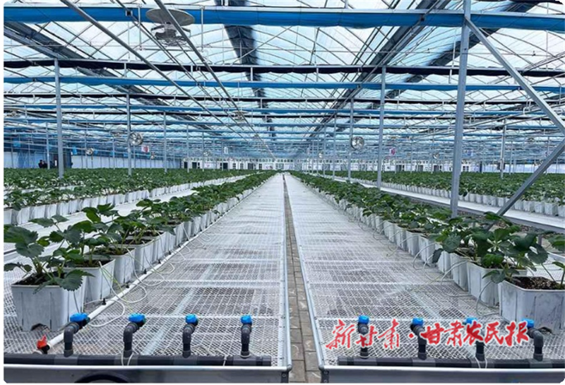 1753113056672463.png 1753089162093090776.png