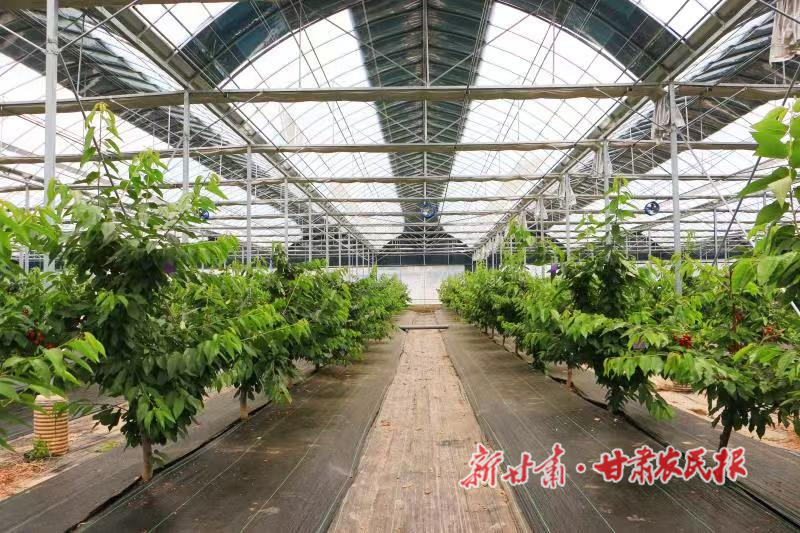 1753113763127518.jpg 1752765481238001919.jpg