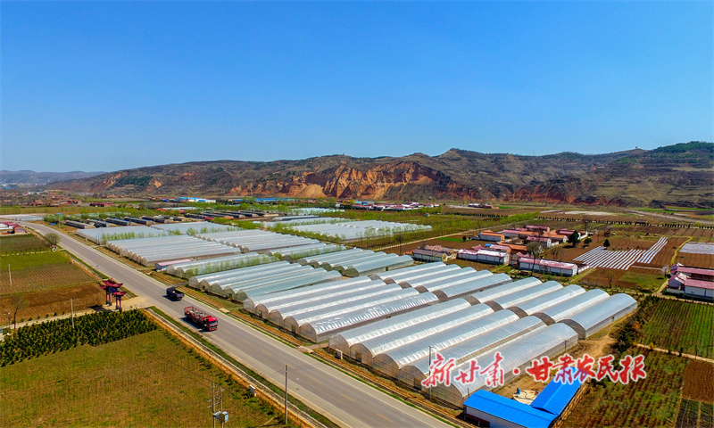 1753246647205189.jpg 華亭市東華鎮(zhèn)黎明川蔬菜基地.jpg