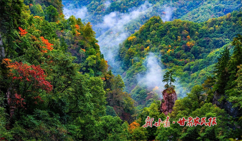 1753246792435991.png 華亭蓮花臺.png