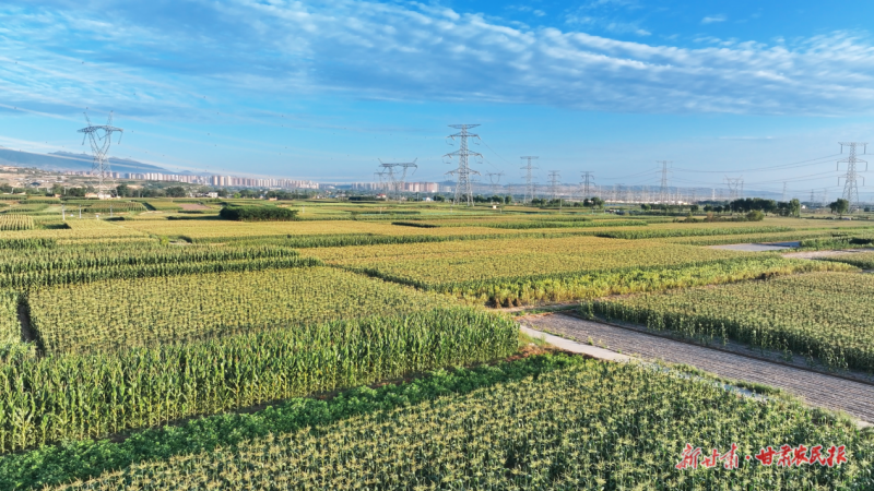 1753670386447281.png 微信圖片_20250725170923.png