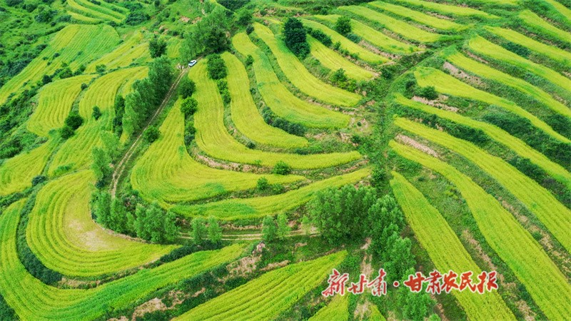 1753791843626671.jpg 1753719867789005748.jpg