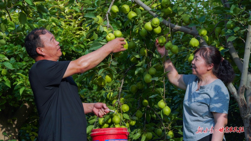 1754273878577547.jpg 微信圖片_2025-08-01_163346_430.jpg