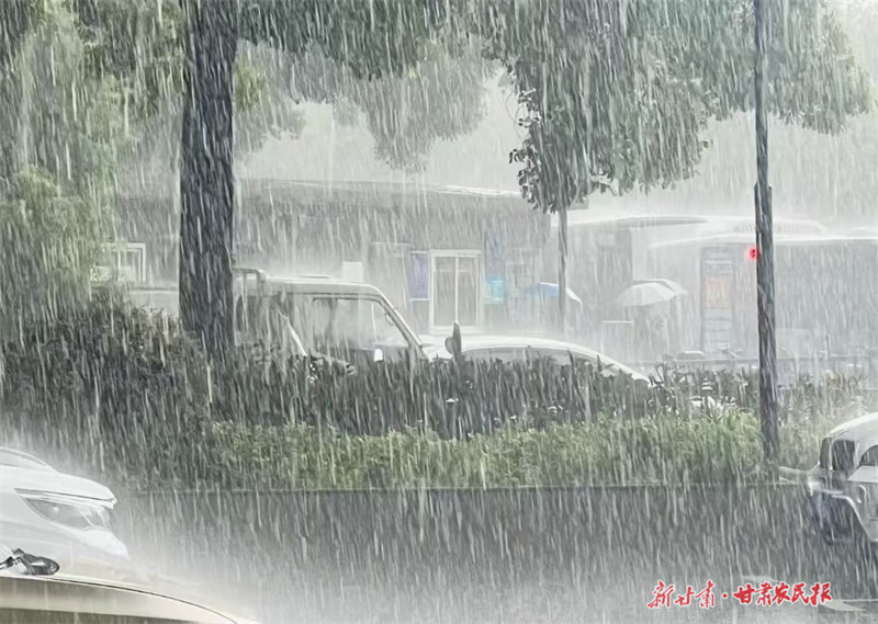 微信圖片_20250805110401