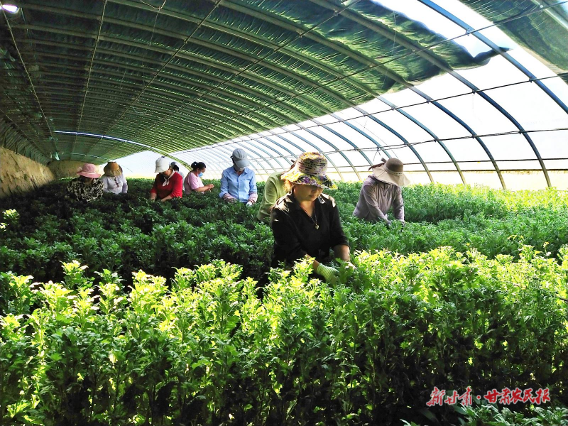 1755133782469708.png 微信圖片_2025-08-13_161554_036.png