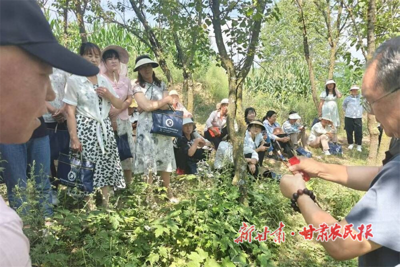 1755251222909129.jpg 9b01dd314e3549518fed9df6380b2f12.jpg