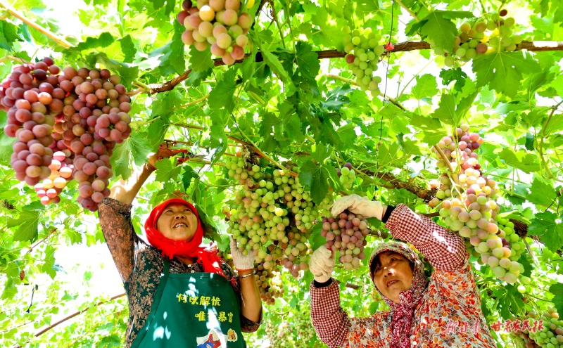 1755484237847138.jpg 微信圖片_2025-08-15_164043_981.jpg