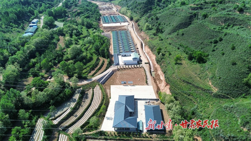 西華鎮(zhèn)林麝養(yǎng)殖基地.jpg