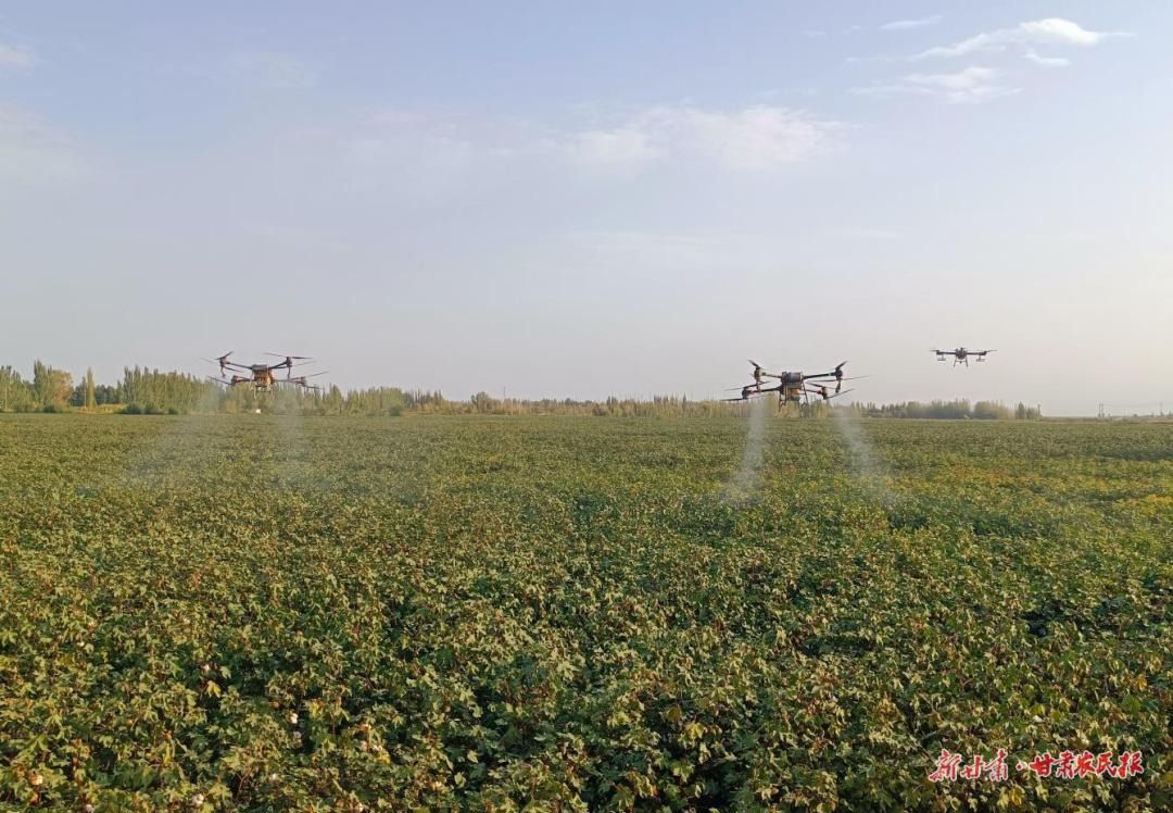 代家溝村無人機(jī)飛防 代家溝村無人機(jī)飛防