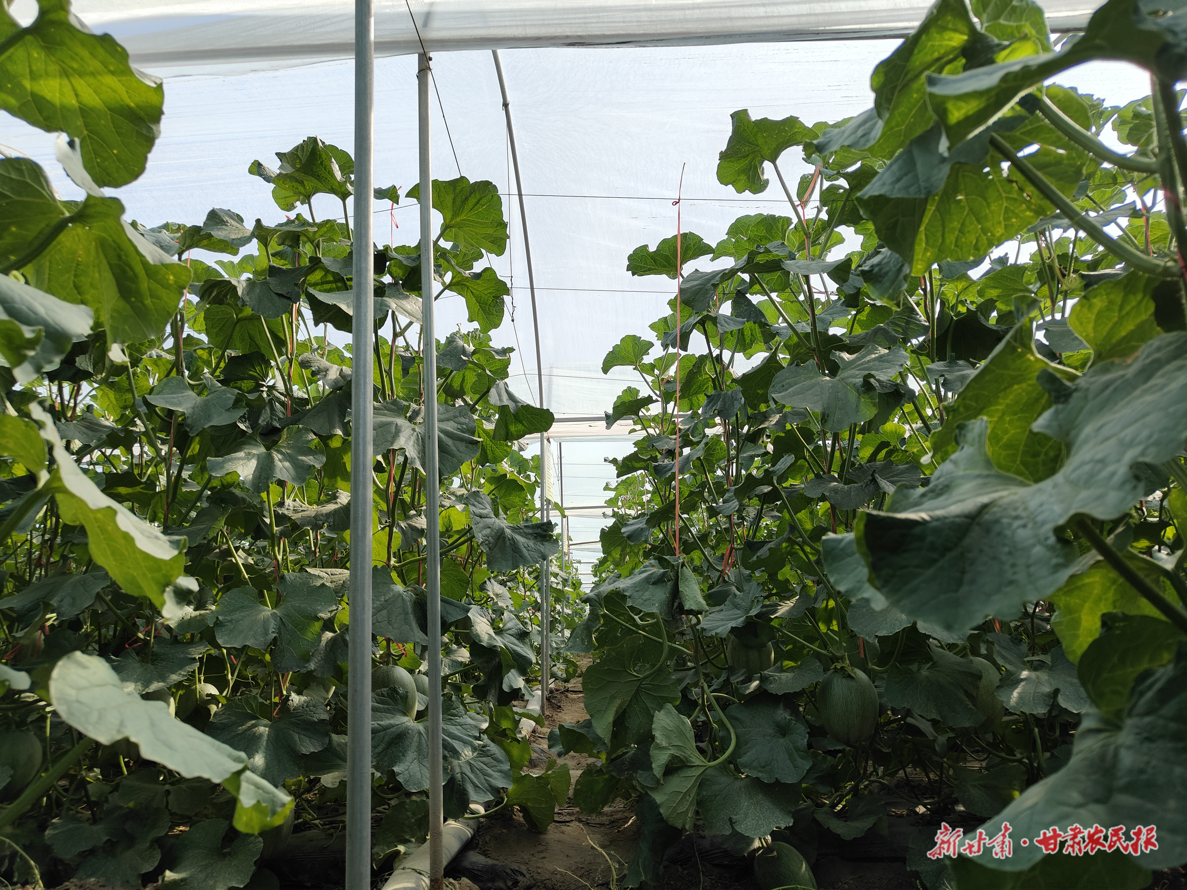 微信圖片_20250919092140_432_71