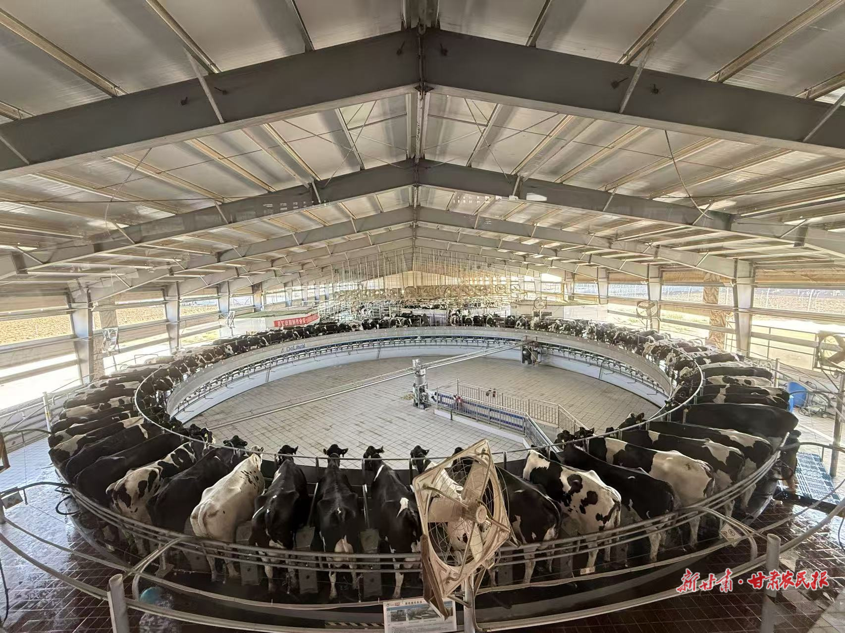 微信圖片_20250922230844_95_8