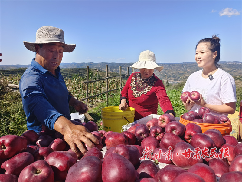 1759192996210772.jpg 1758893607271038265.jpg