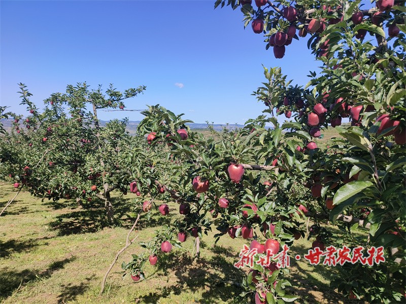 1759193025582472.jpg 1758893593237005824.jpg