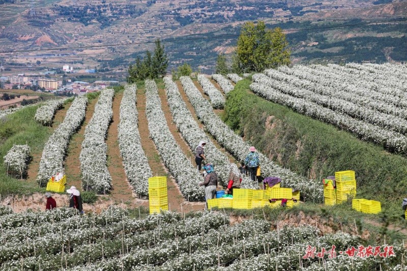 1759197210484288.jpg 微信圖片_20250929172318_112_28.jpg