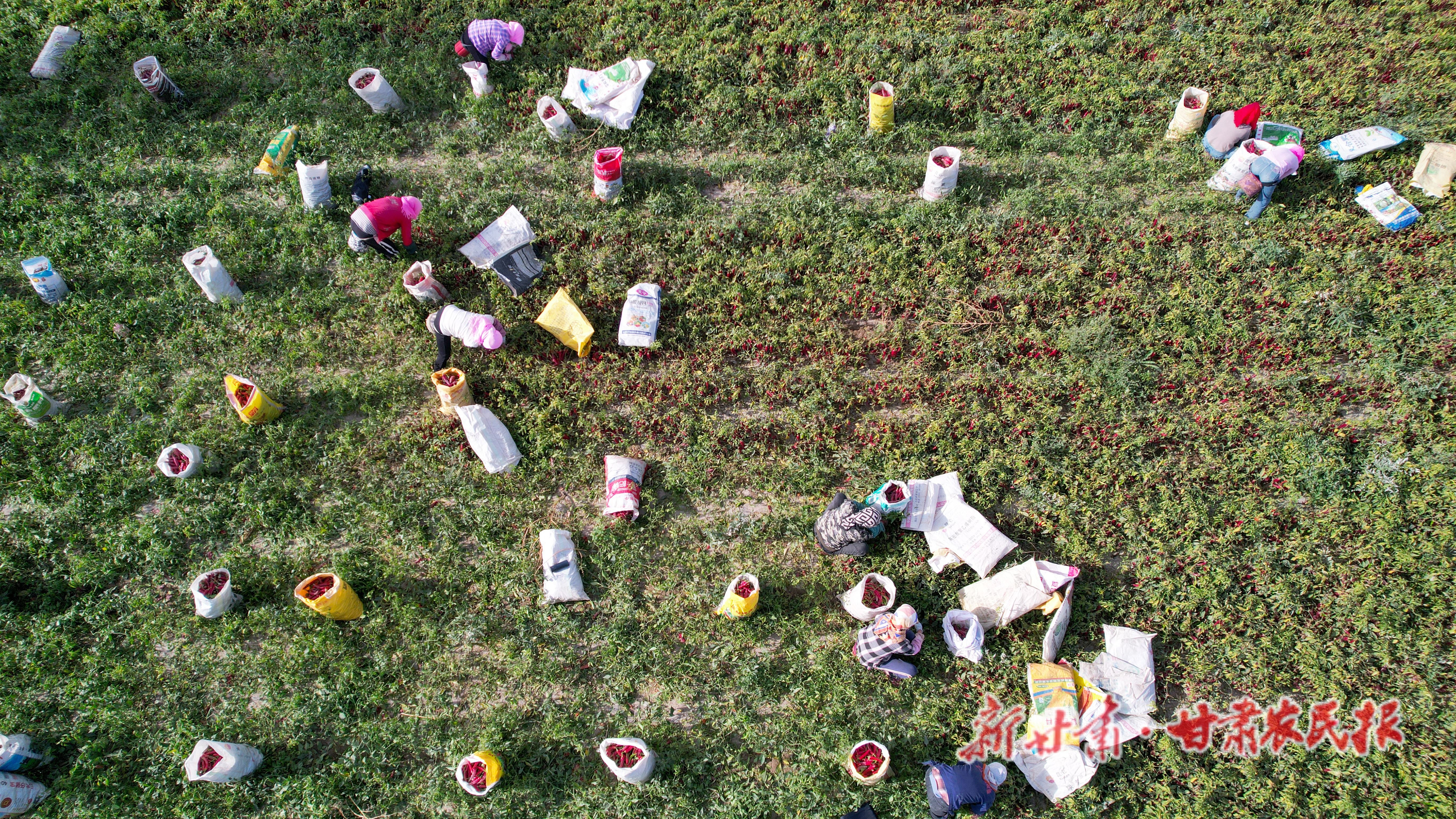 DJI_0721 DJI_0721