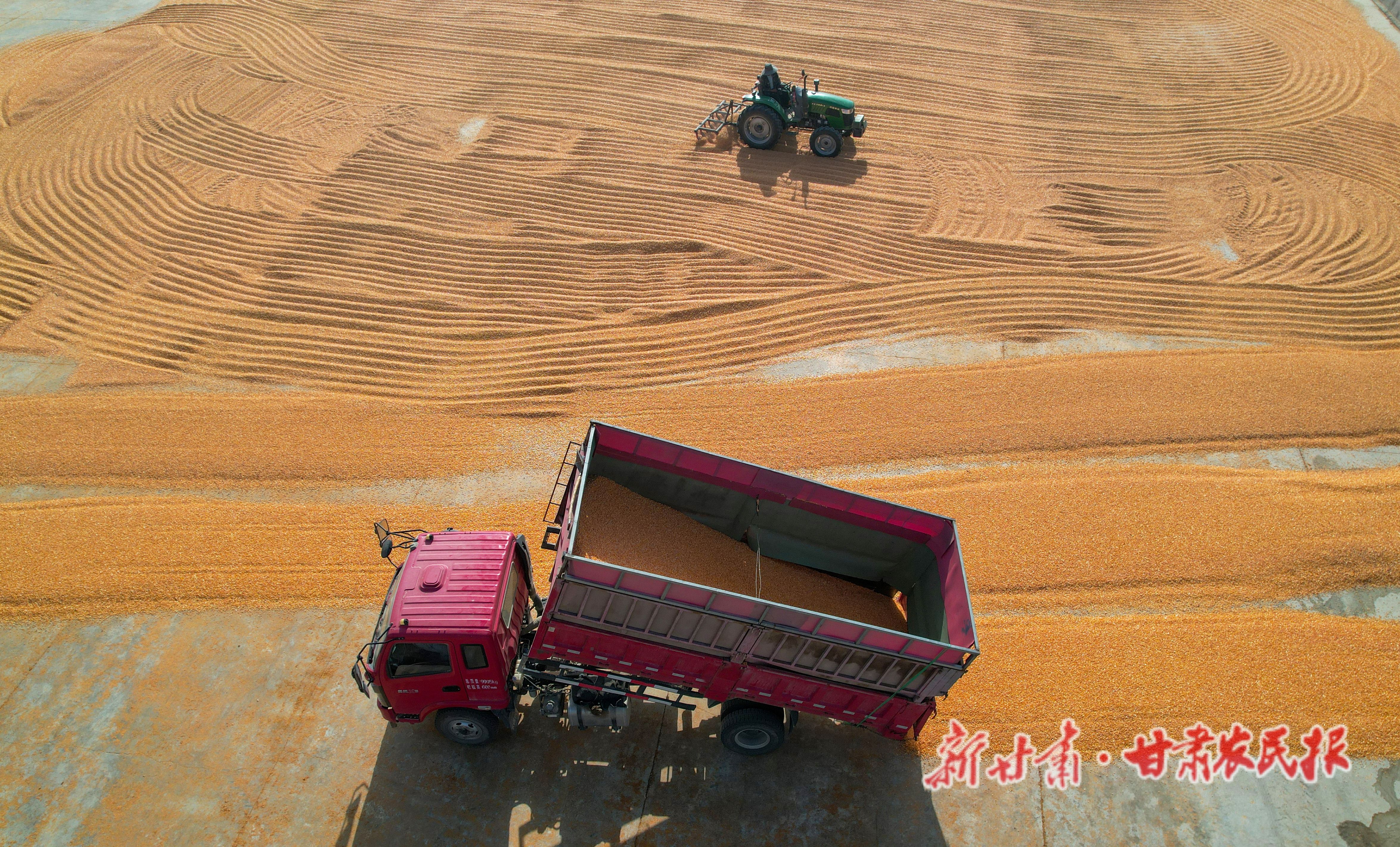 DJI_0940