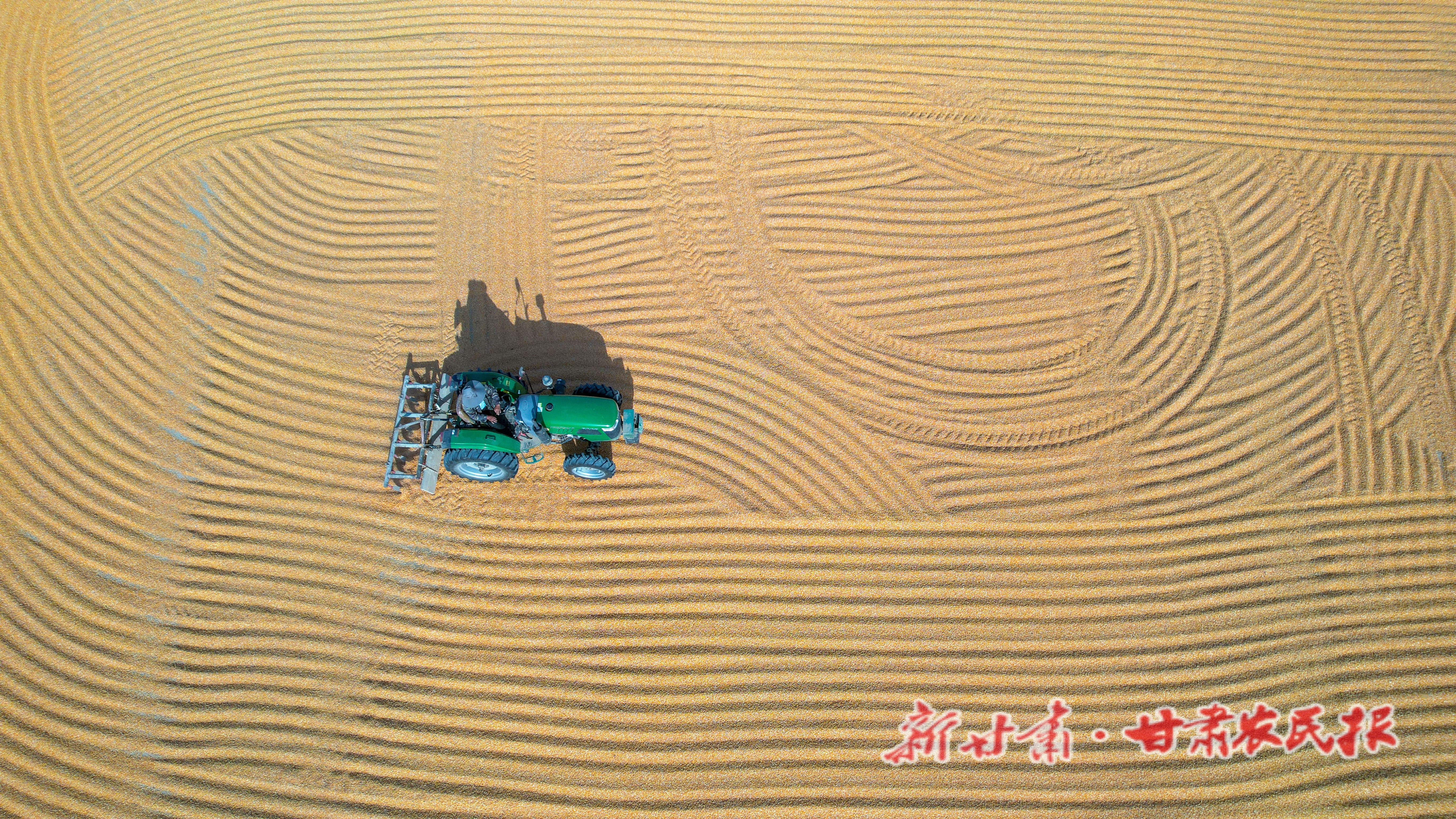 DJI_0929
