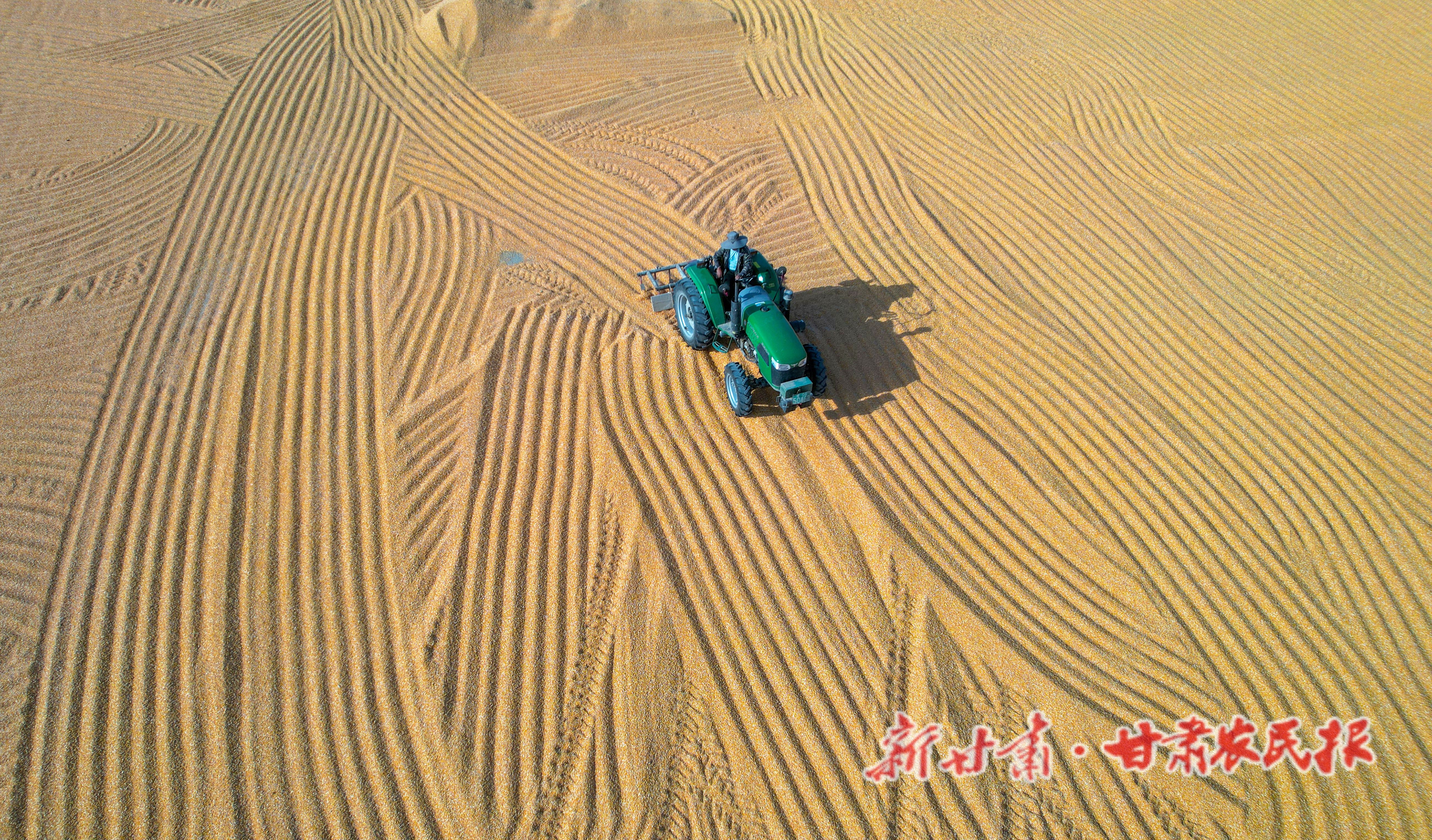 DJI_0946