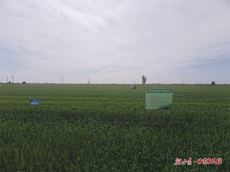 微信圖片_20250716184906