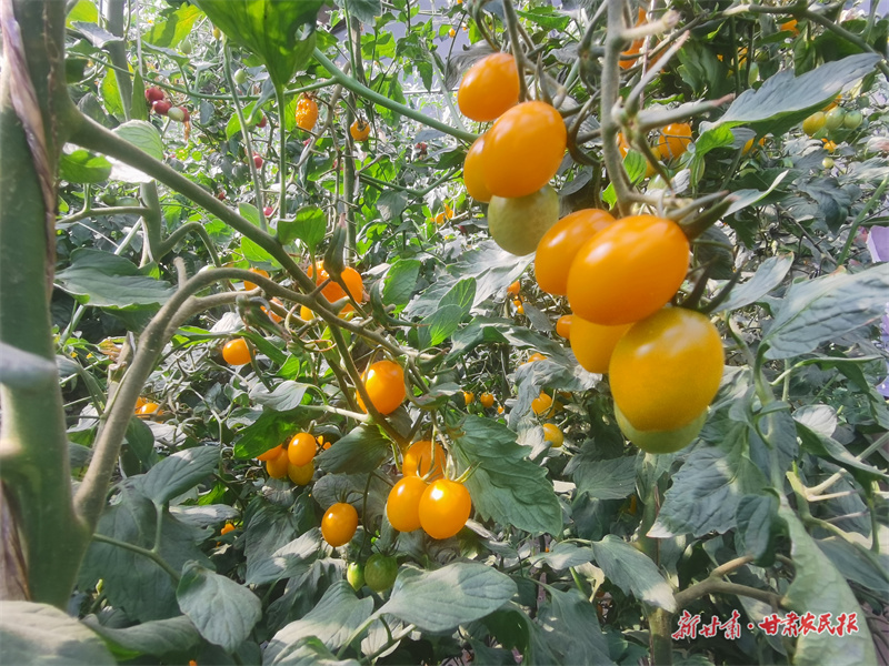 微信圖片_20250716184944