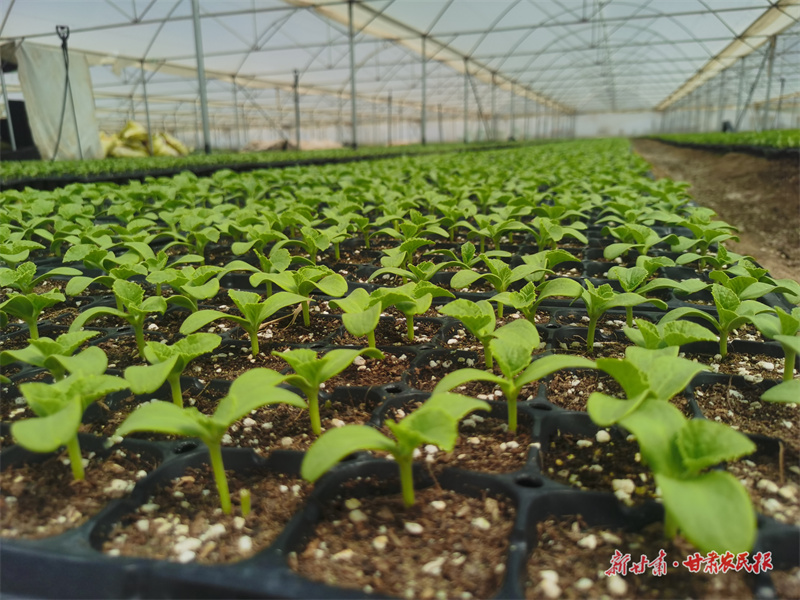 微信圖片_20250716185203