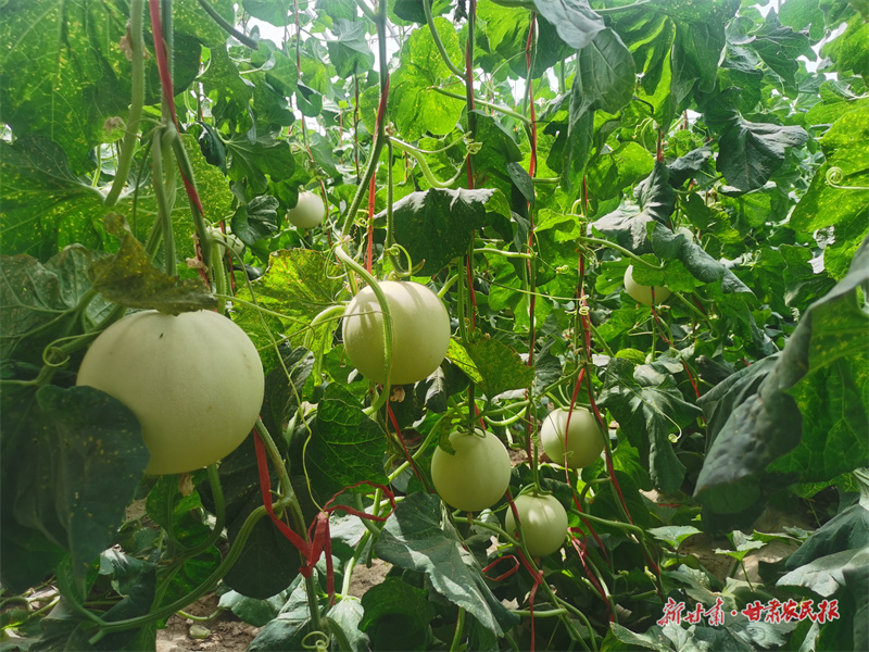 微信圖片_20250716184931