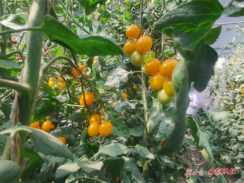 微信圖片_20250716184948