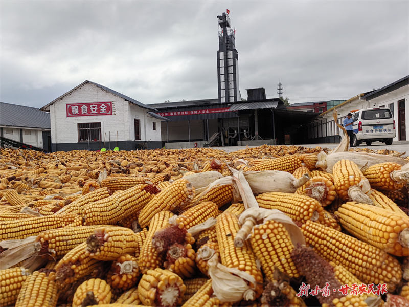 不簡單，靈臺這個鄉(xiāng)鎮(zhèn)引資7500萬！