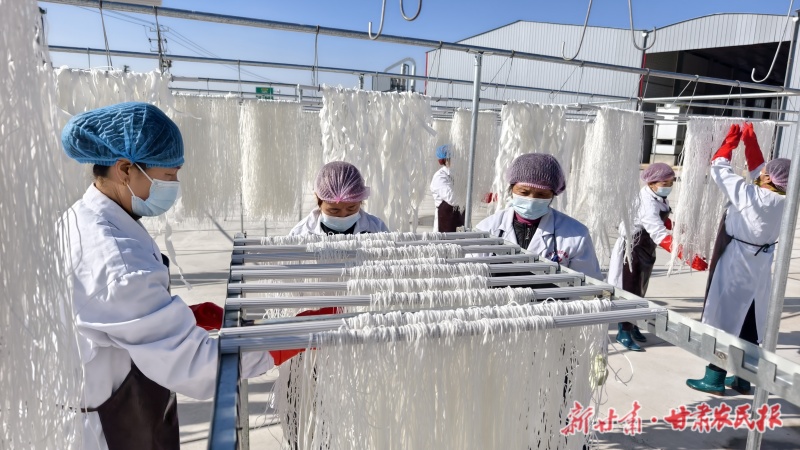 張家川 年產(chǎn)3000噸粉條加工生產(chǎn)線投運(yùn)
