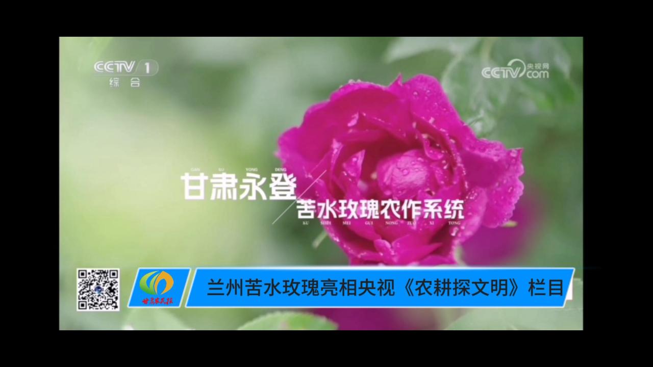 【短視頻】蘭州苦水玫瑰亮相央視《農(nóng)耕探文明》欄目