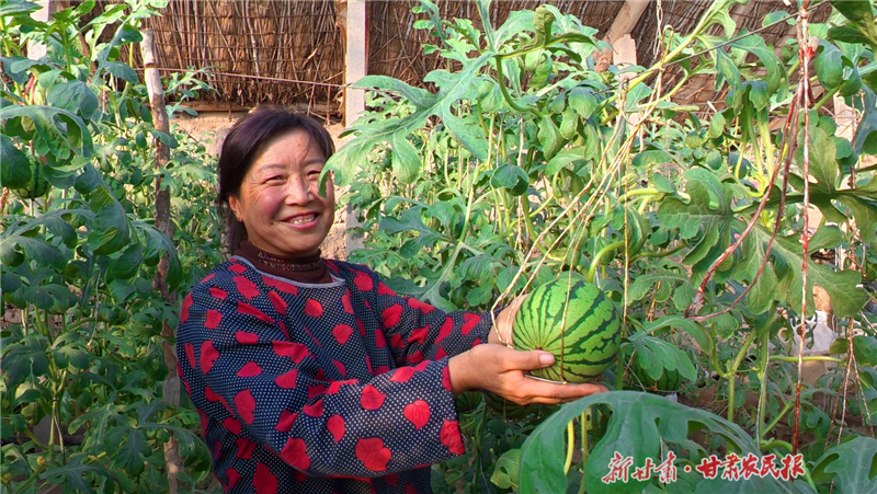 永昌縣朱王堡鎮(zhèn)：西瓜里的“甜蜜”致富經(jīng)