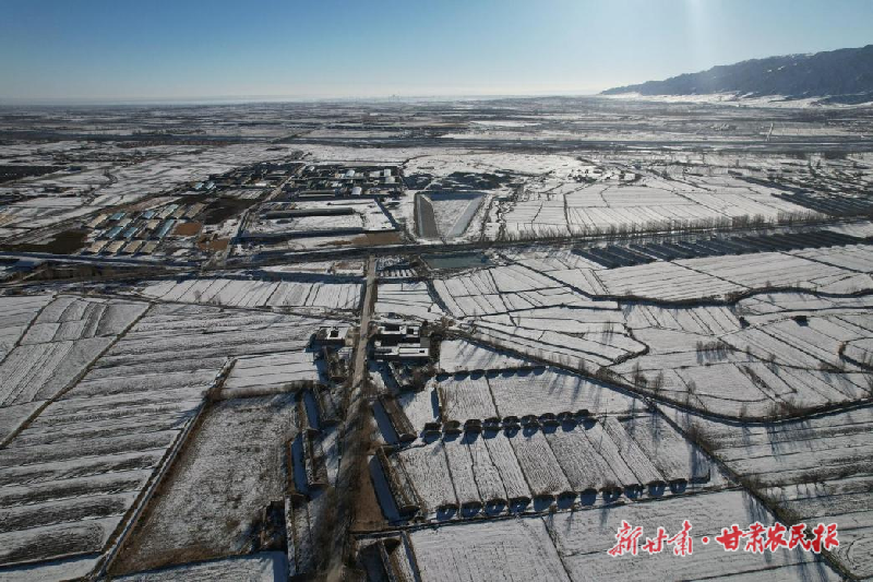 涼州區(qū)：廣袤沃野“豐”景好 鄉(xiāng)村振興寫新篇