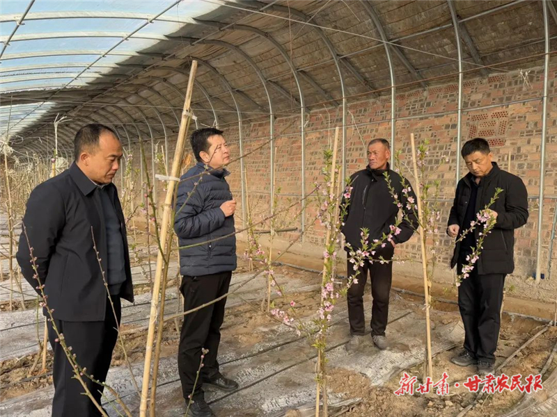 春節(jié)不打烊！林果技術服務“不缺席”