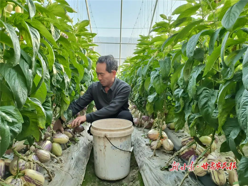 線上線下齊發(fā)力 民勤助農(nóng)暢通銷售渠道