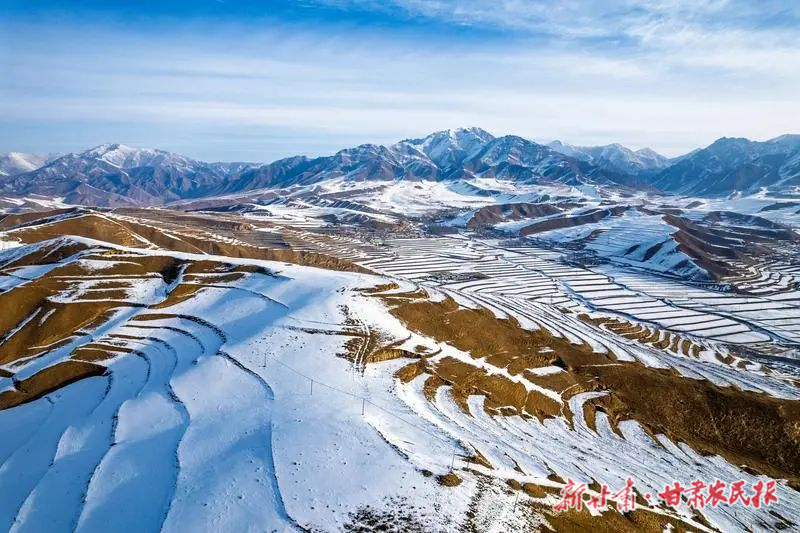 【圖片新聞】天祝：雪后梯田別樣美