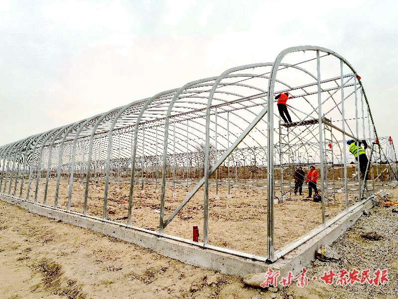 涼州區(qū)：日光溫室產(chǎn)業(yè)園區(qū)建設項目加速推進
