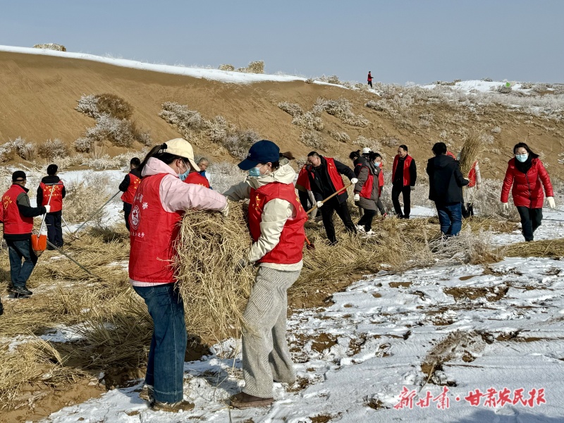 壓沙忙在春風(fēng)里——涼州區(qū)開展2025年春季義務(wù)壓沙活動側(cè)記