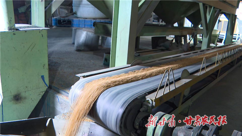 春耕的種子：政策下的甘肅農(nóng)業(yè)新希望——景泰嚴(yán)選“一粒種” 打好春播“第一仗”