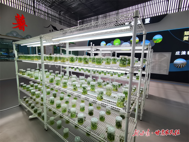 【兩會反響】春潮涌動謀發(fā)展 揚帆奮進新征程——全國兩會在我省引發(fā)熱烈反響